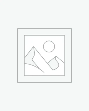 عنصر نائب Placeholder